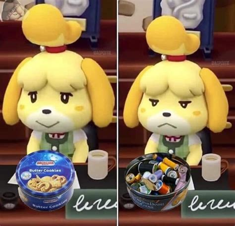 isabelle memes and jokes.